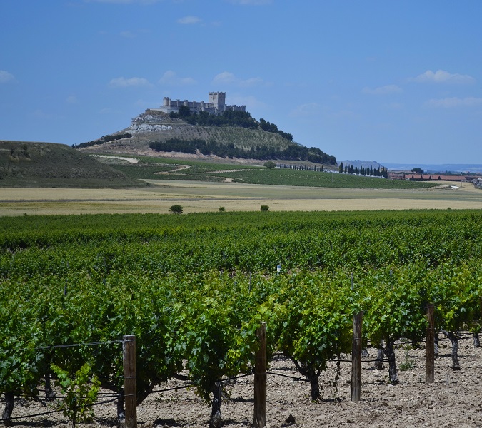 Vineyards and Castles A Journey to the Spanish Wine history