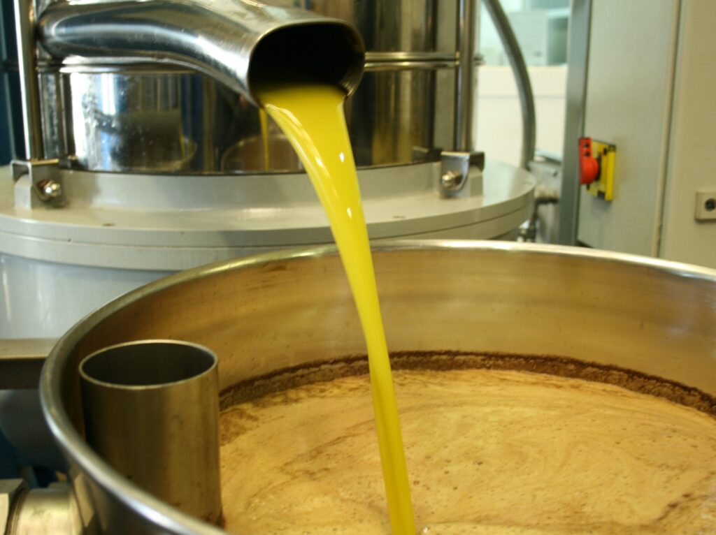 Aceite scaled e1770814817544