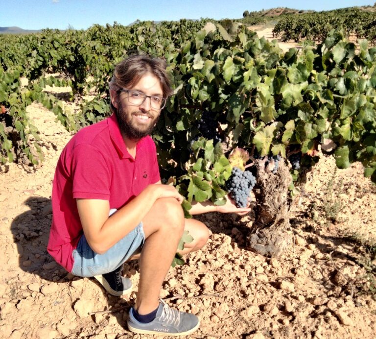 Ancient Vines Bobal Requena