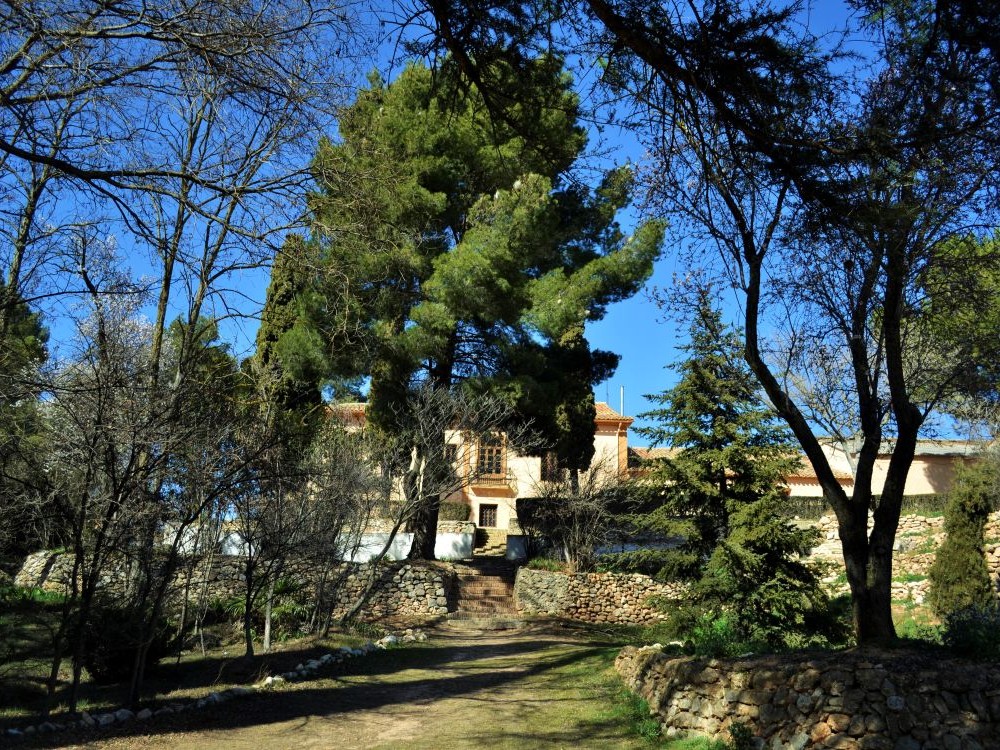 Vera de Estenaspequena