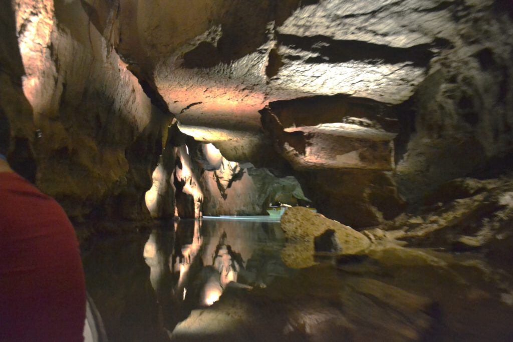 Private Tour from Valencia to Coves Sant Josep