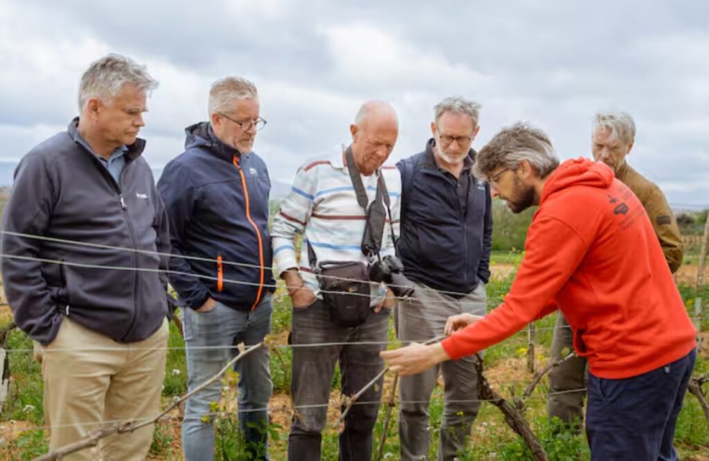 Requena Wine Small Group Tour