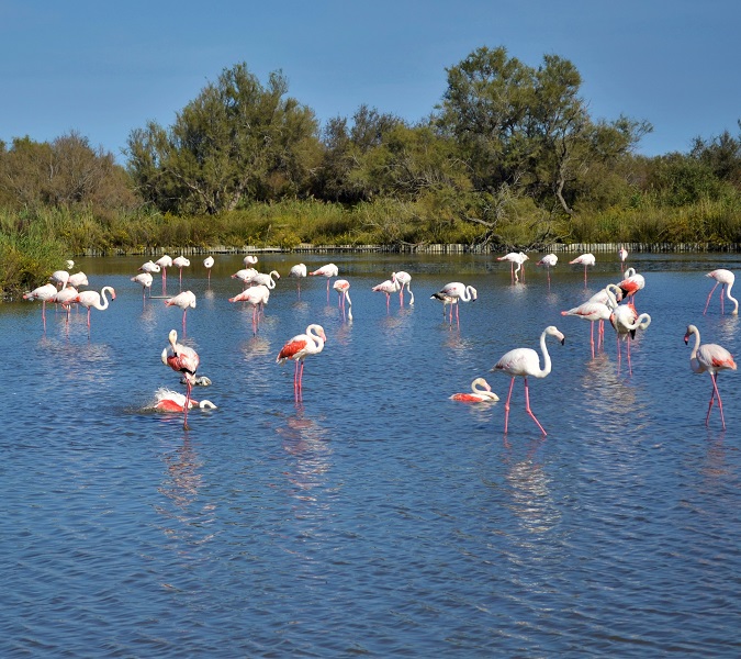 Nature Escape from Valencia