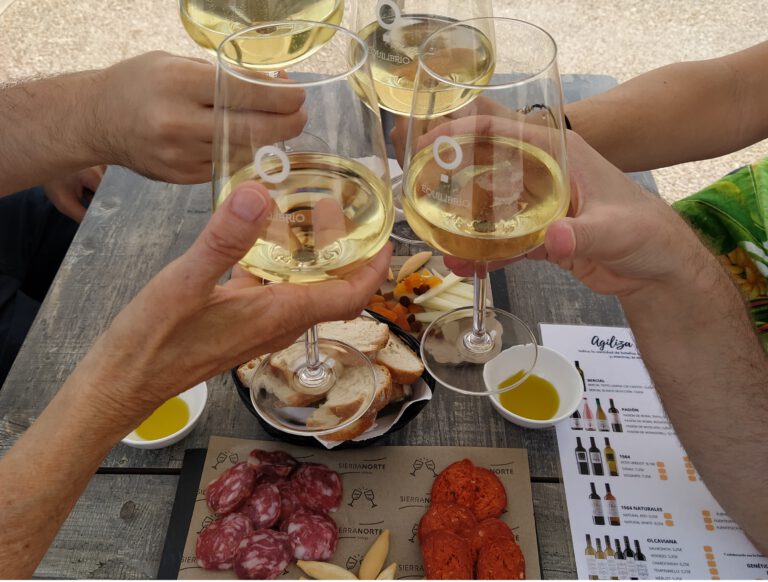 Wine tour from Valencia visiting wineries in the Requena wine region