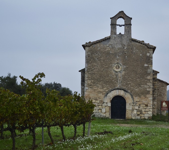 Spanish Vines near Monasteries and Churches